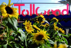 rz_Tw_So07_300_cmyk_Foto_Markus_Dlouhy