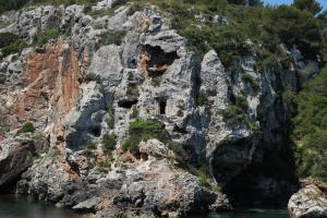 11061963_917145948341786_3786180551707095576_n