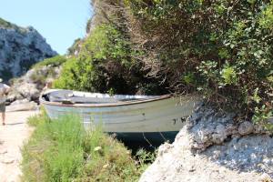 11392796_917145871675127_7080784196338952156_n